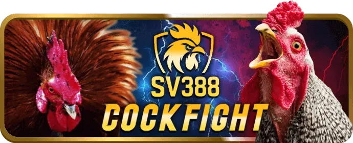 Tỷ lệ thắng cược hấp dẫn ibet88